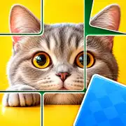 Jigsaw Solitaire Puzzle